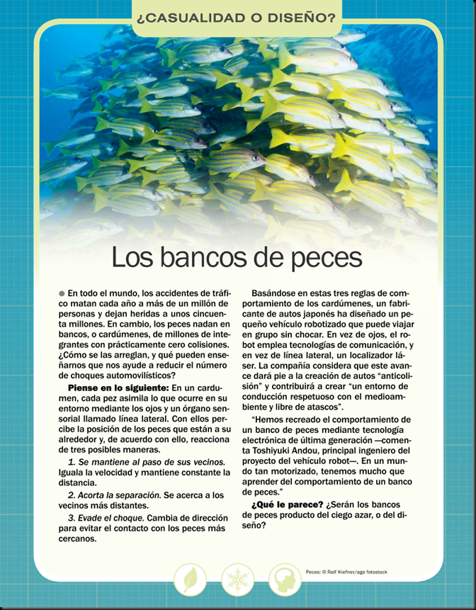 Creacionismo: Los bancos de peces Image_thumb5
